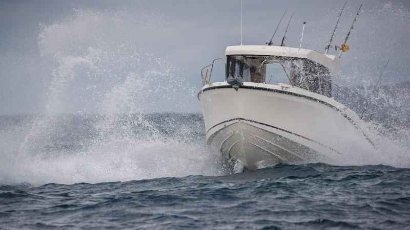 Arvor-805-Sportsfish-External-5_large_4_11zon